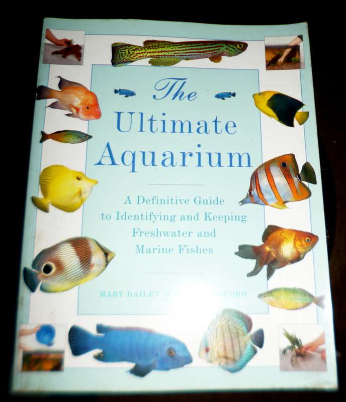 The Ultimate Aquarium