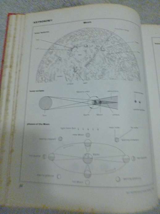 The Facts on File Visual Dictionary