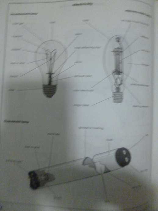 The Facts on File Visual Dictionary