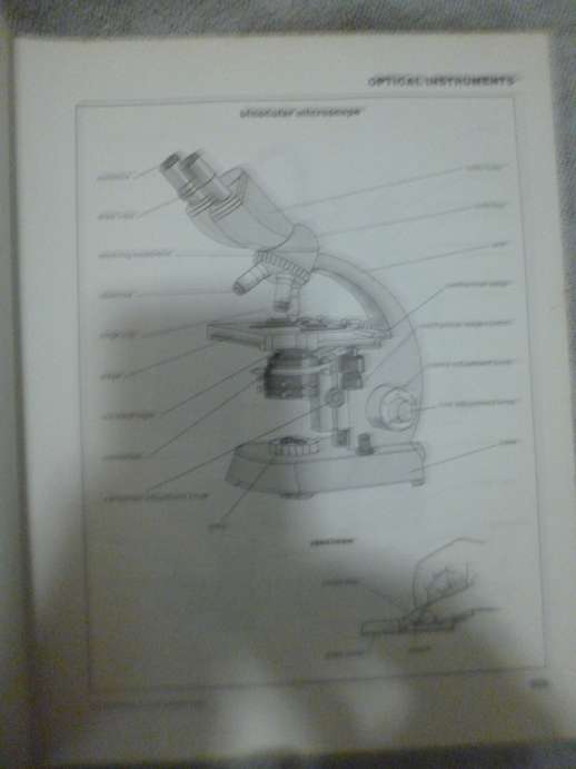 The Facts on File Visual Dictionary