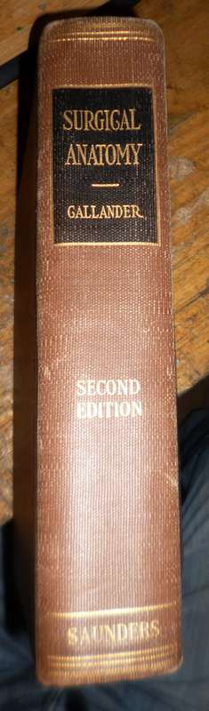 Surgical Anatomy 1947