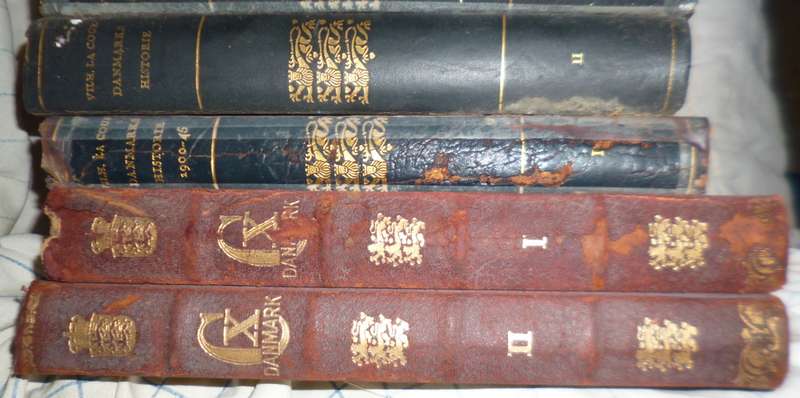 Antique Danish Books