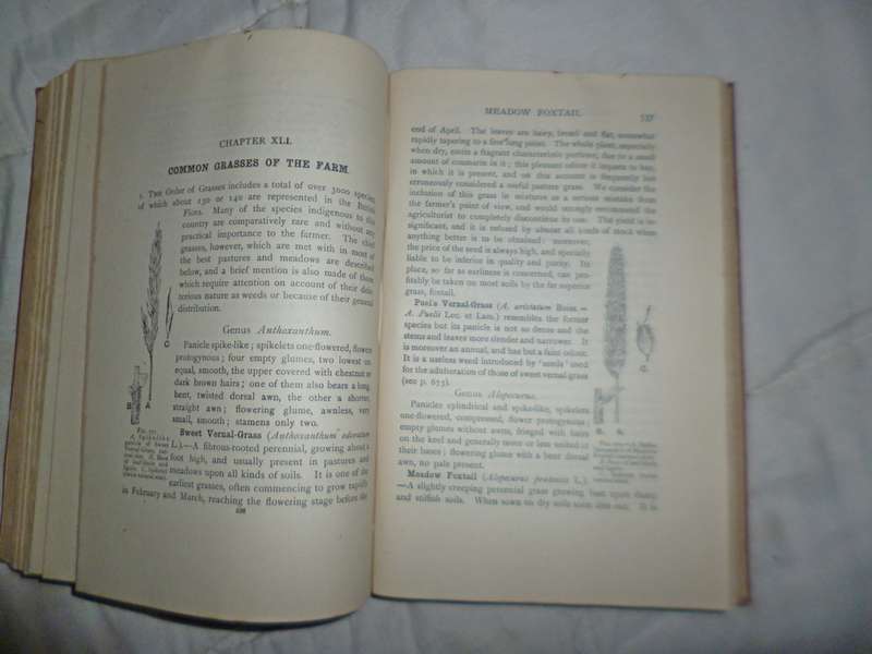 Agricultural Botany  . Theoretical and Practical  1945