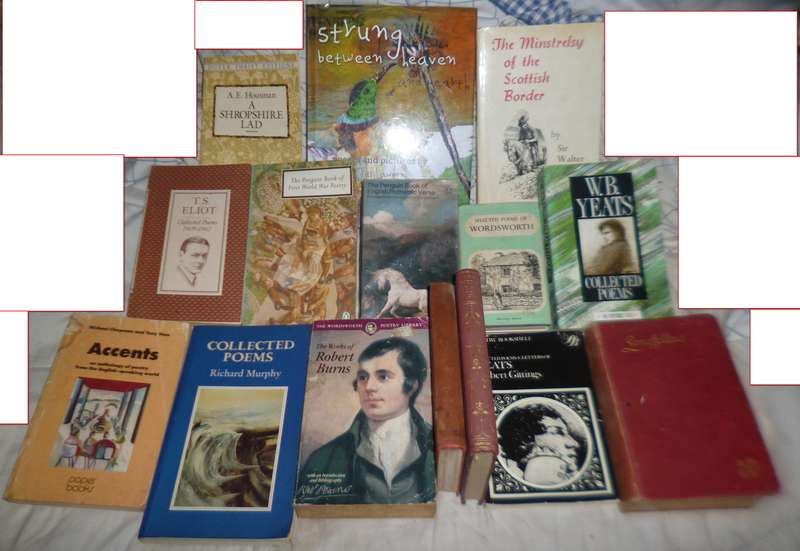 a selection of 15 Poetry Books