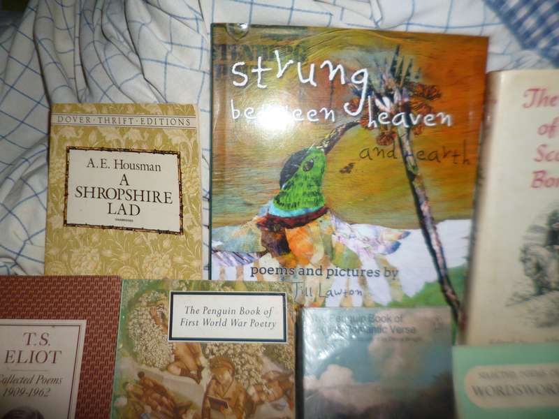 a selection of 15 Poetry Books
