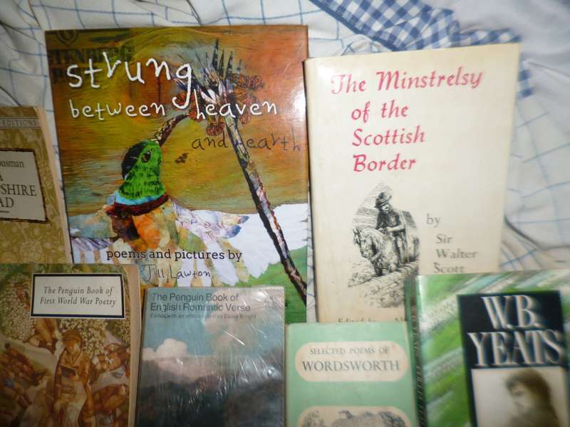 a selection of 15 Poetry Books