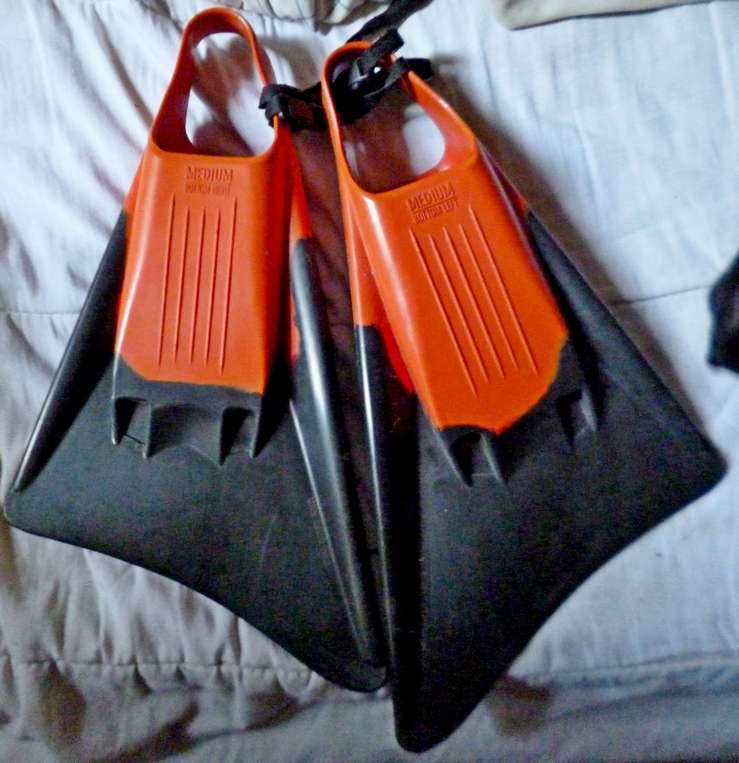Swim Fins
