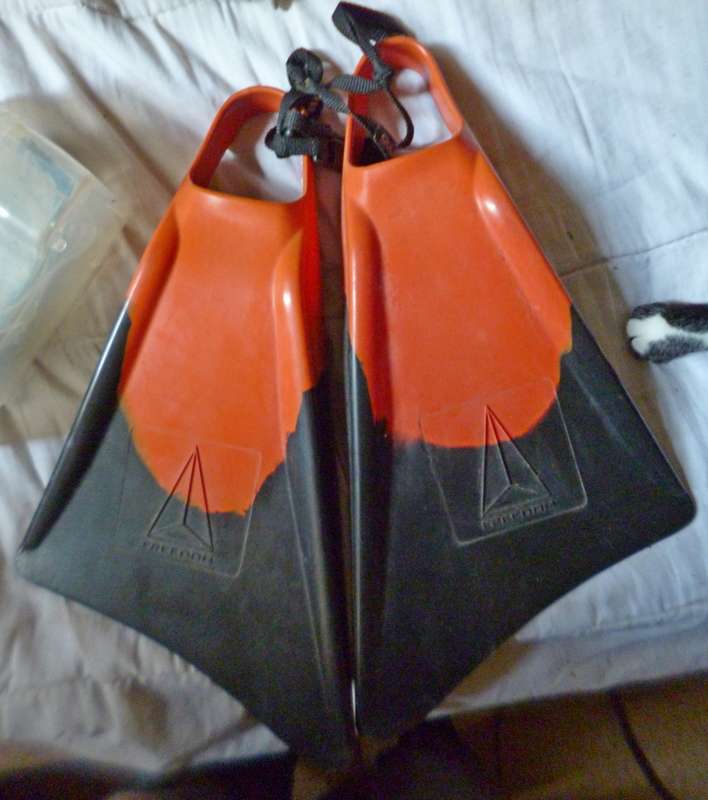 Swim Fins