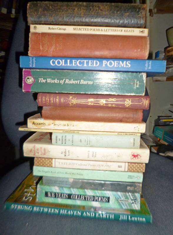 a selection of 15 Poetry Books