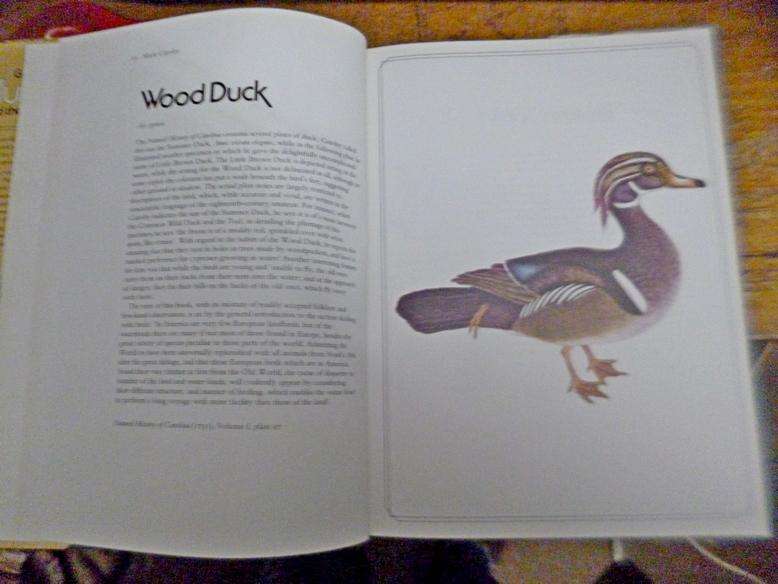 Great Bird Illustrators and Their Art , 1730-1930