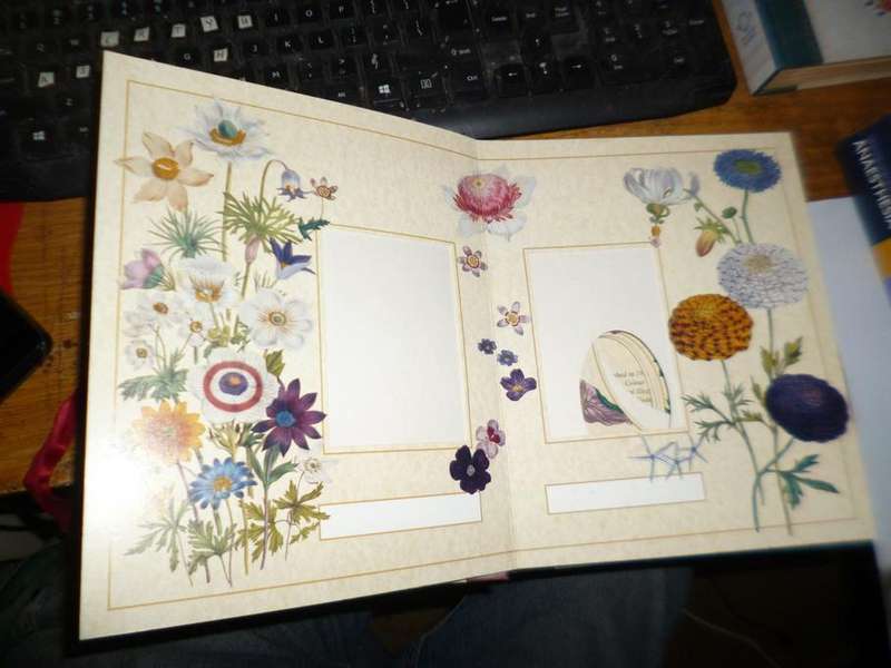 2 Photograph Albums  - Victorian Reflections & Floral Elegance
