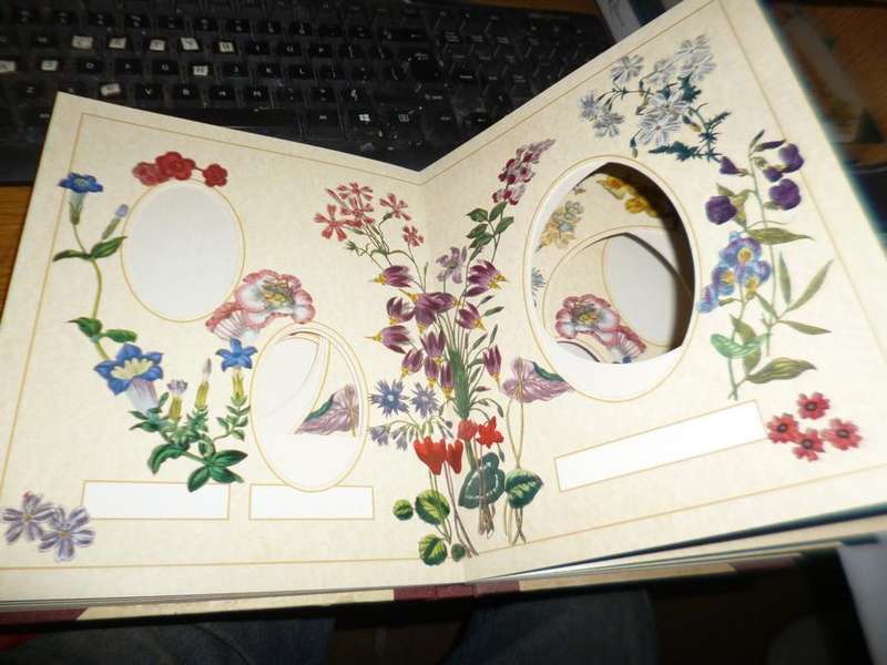 2 Photograph Albums  - Victorian Reflections & Floral Elegance