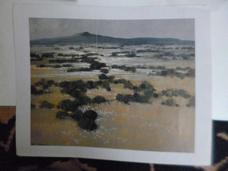 5 landscape prints by ?