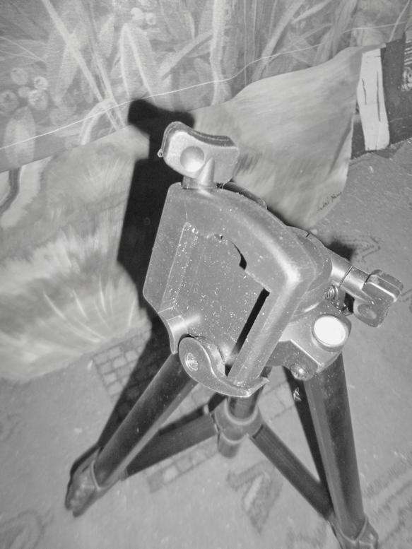 Tripod