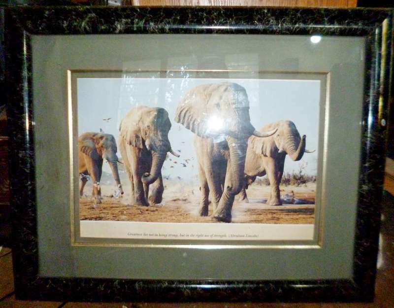Elephant Print