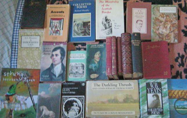 a selection of 23 Poetry Books