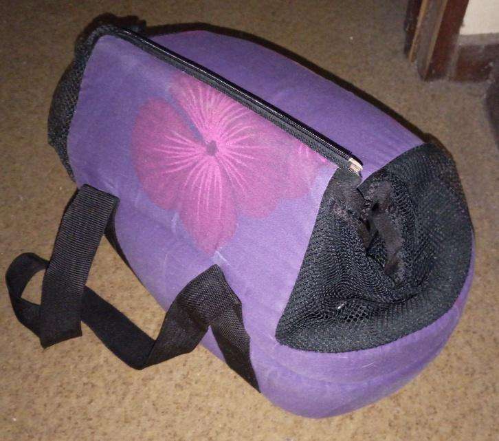 Cat Carrier