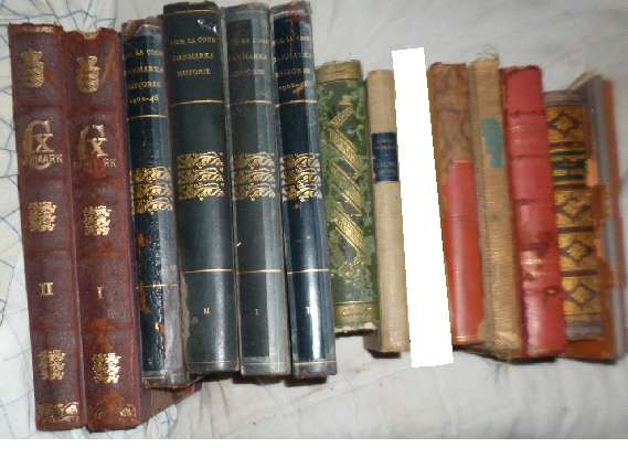 Antique Danish Books