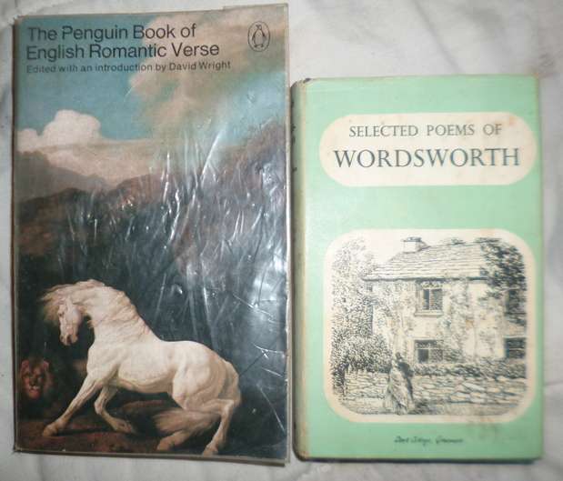 a selection of 15 Poetry Books