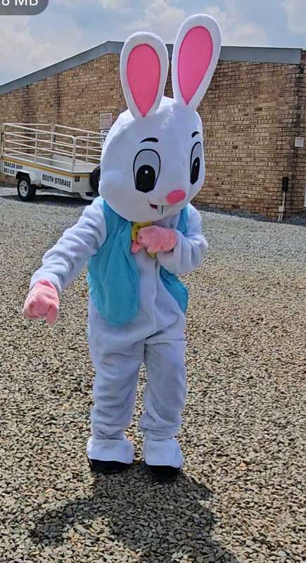 Easter Bunny Mascot