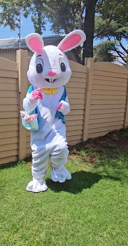 Easter Bunny Mascot