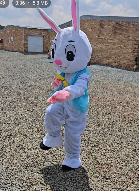 Easter Bunny Mascot