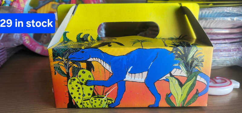 Dinosaur Party Boxes (29)
