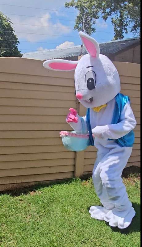 Easter Bunny Mascot