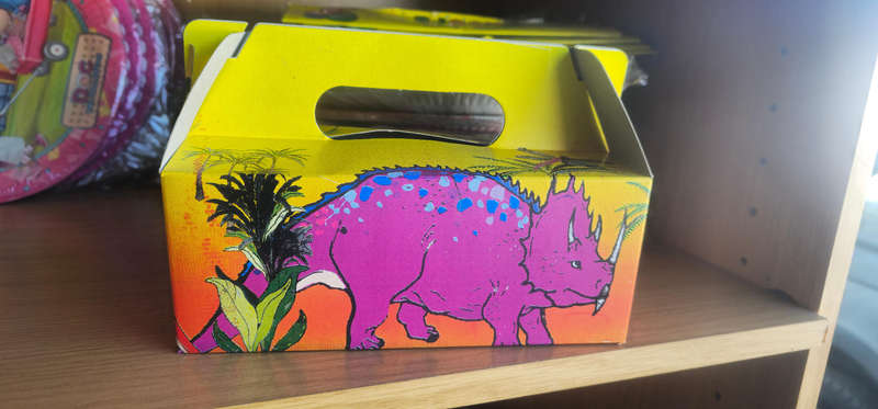 Dinosaur Party Boxes (29)