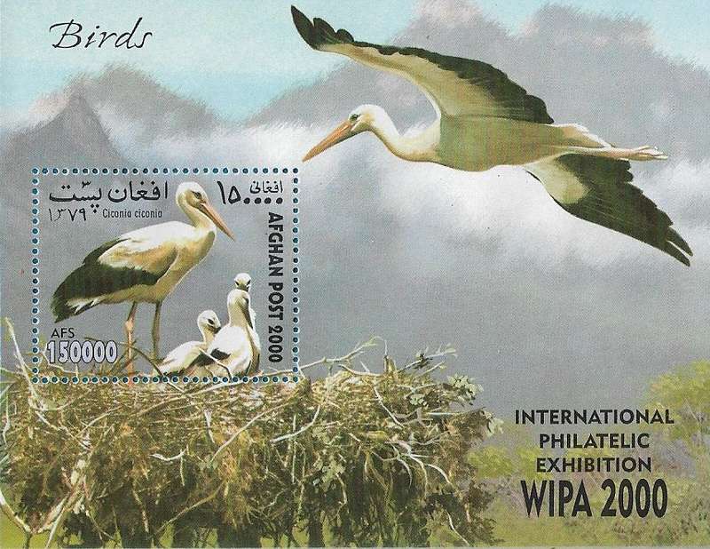 Thematics Birds.