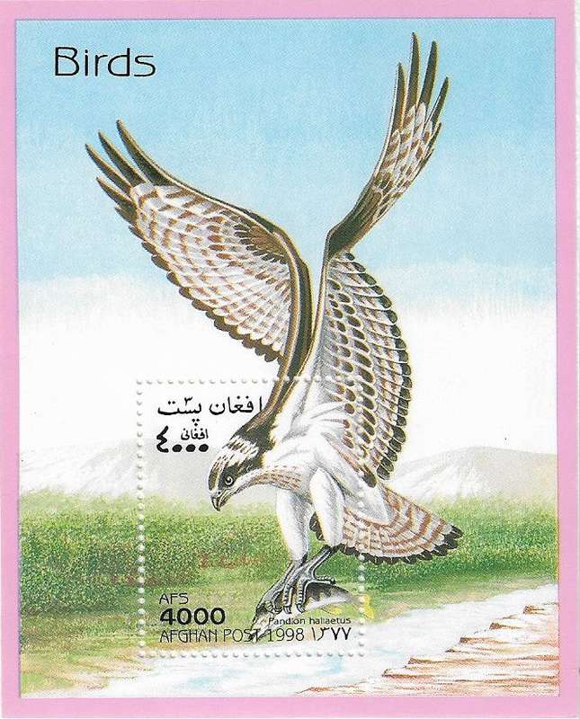 Thematics Birds.