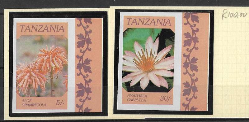 Tanzania variety imperforated flowers.