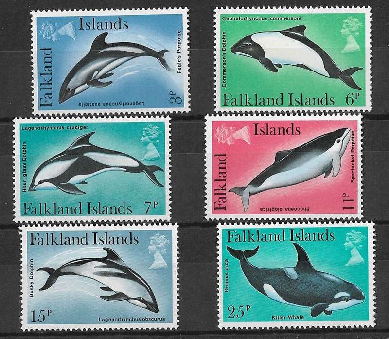 Thematics Marine Life.