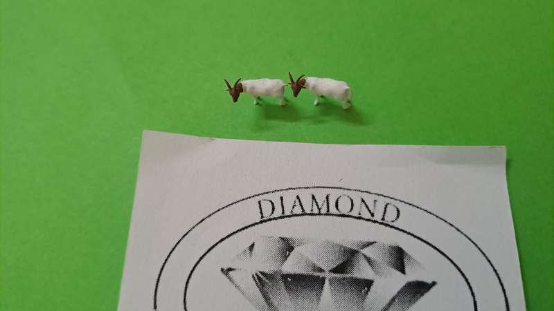 Model Trains 1/87 H0 - Animals - Goats (x2) Boerbokke