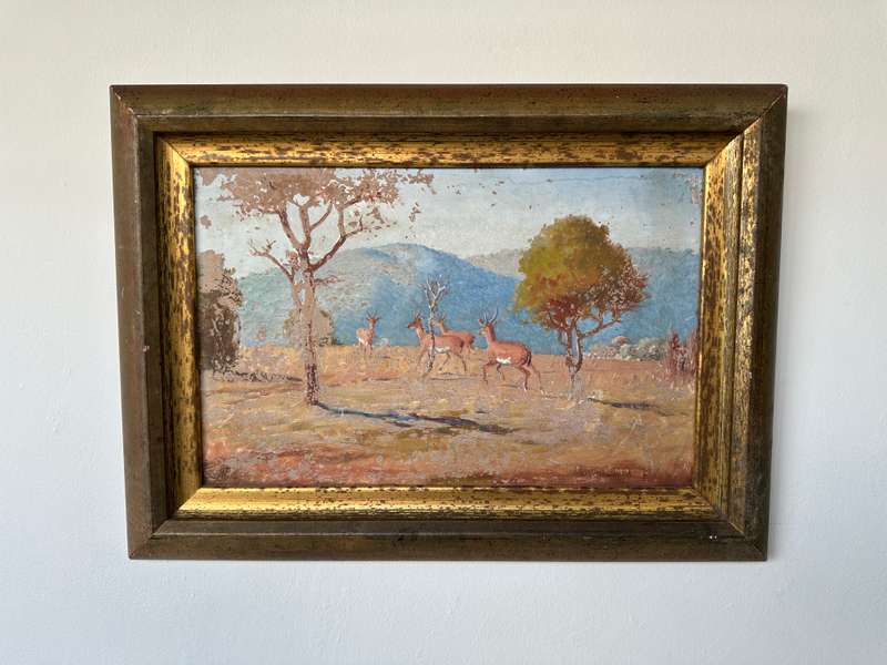 Framed Original Artwork Jack W Phol 1878 - 1944, Springbok - 1938 - Finished Size 56cm x 41cm