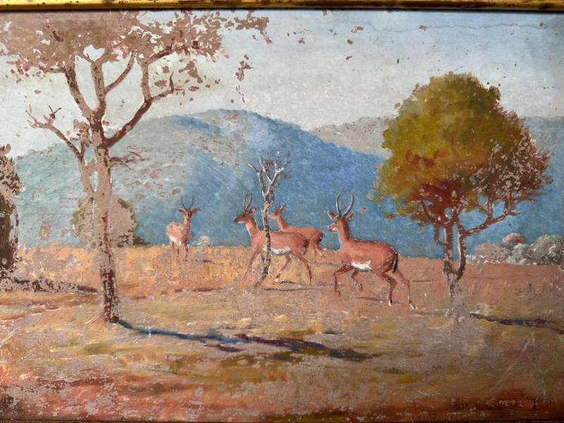 Framed Original Artwork Jack W Phol 1878 - 1944, Springbok - 1938 - Finished Size 56cm x 41cm