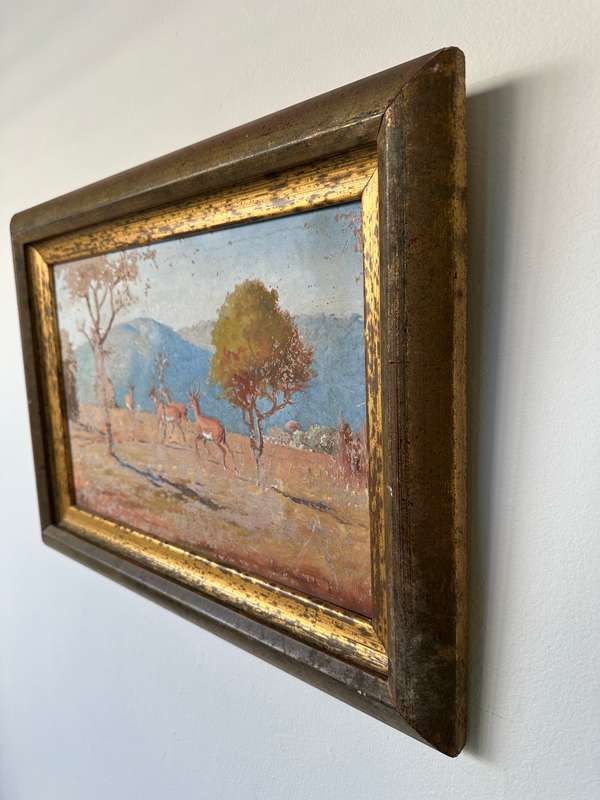 Framed Original Artwork Jack W Phol 1878 - 1944, Springbok - 1938 - Finished Size 56cm x 41cm