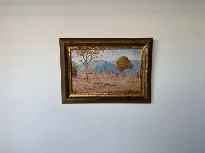 Framed Original Artwork Jack W Phol 1878 - 1944, Springbok - 1938 - Finished Size 56cm x 41cm