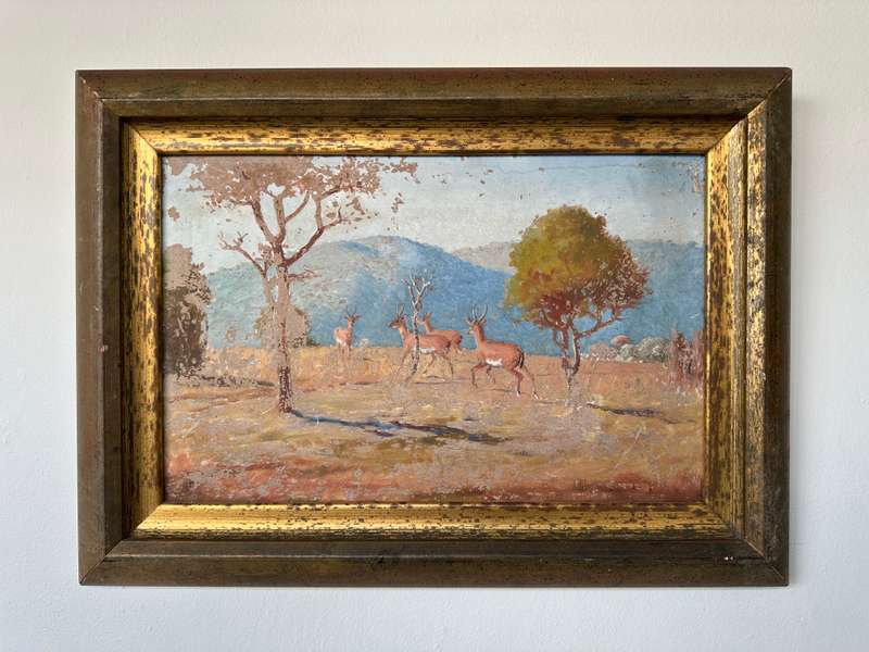 Framed Original Artwork Jack W Phol 1878 - 1944, Springbok - 1938 - Finished Size 56cm x 41cm