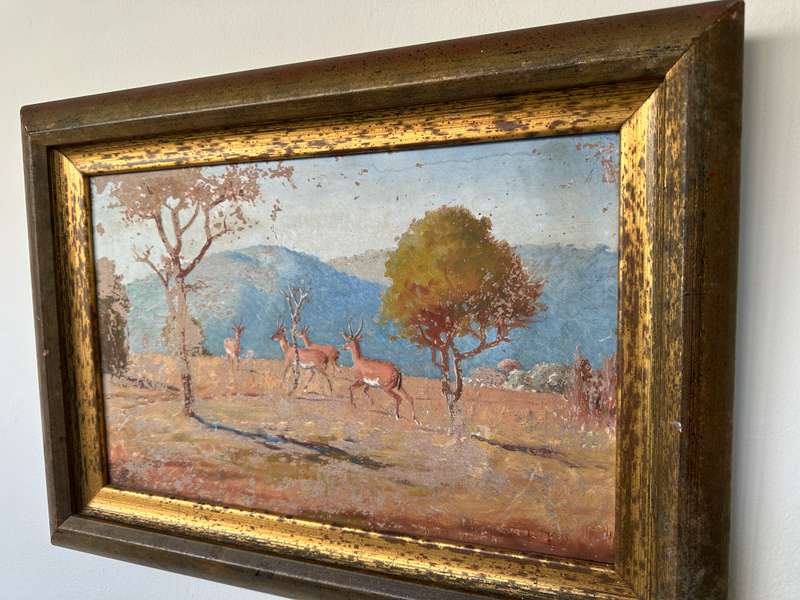 Framed Original Artwork Jack W Phol 1878 - 1944, Springbok - 1938 - Finished Size 56cm x 41cm