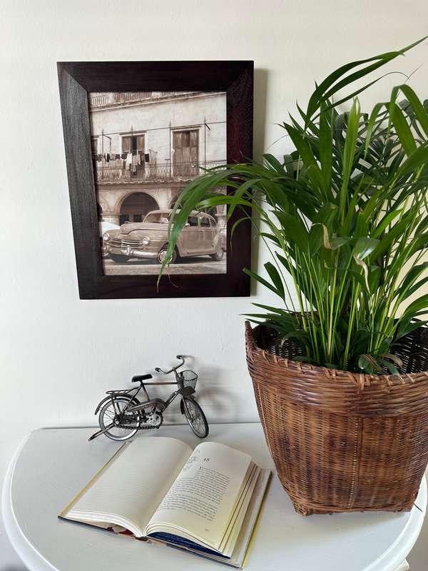 Framed Sepia Print, Cuban Dodge - Finished Size 39.5cm x 49.5cm