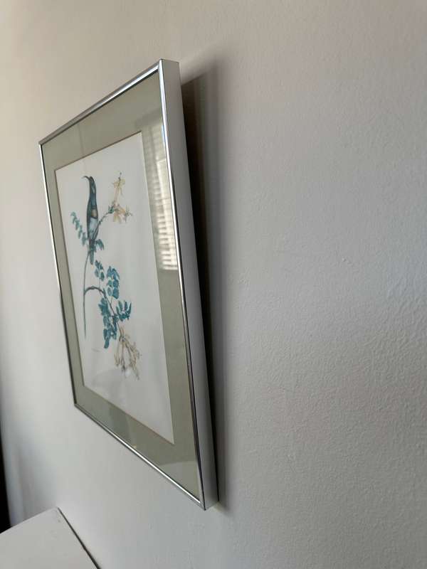 Framed K. Ray-Brower Vintage Print, Sunbird - Finished Size 38.5cm x 46cm