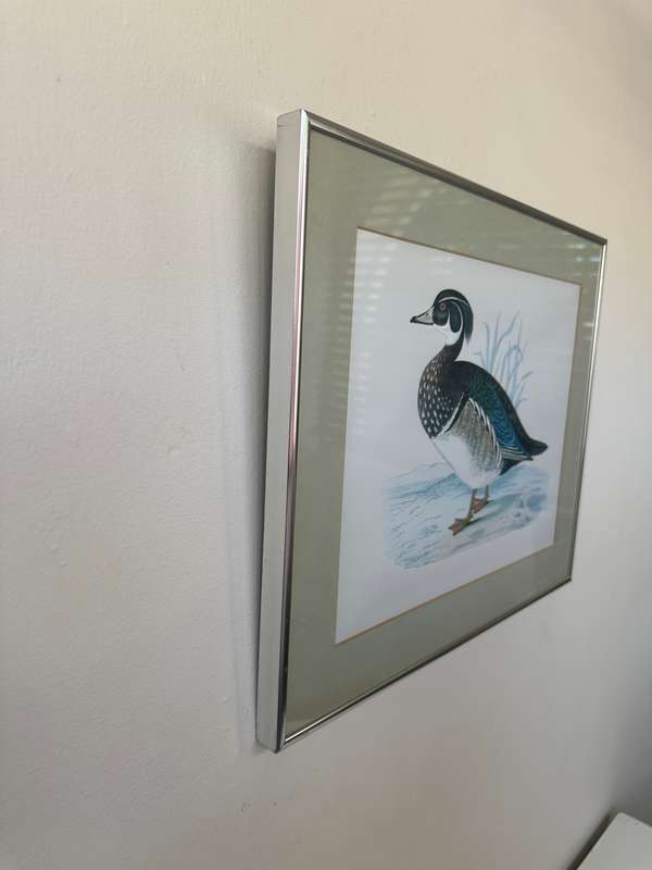 Framed Benjamin Fawcett Vintage Print, Summer Duck - Finished Size 38.5cm x 46cm