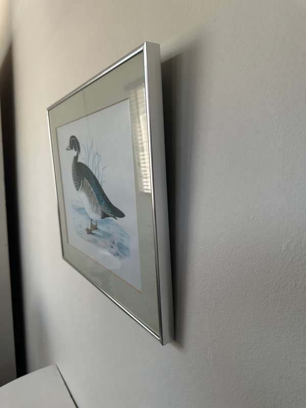 Framed Benjamin Fawcett Vintage Print, Summer Duck - Finished Size 38.5cm x 46cm