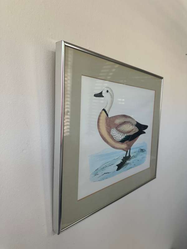 Framed Henri De La Blanchere Vintage Print, Wild Fowl - Finished Size 38.5cm x 46cm