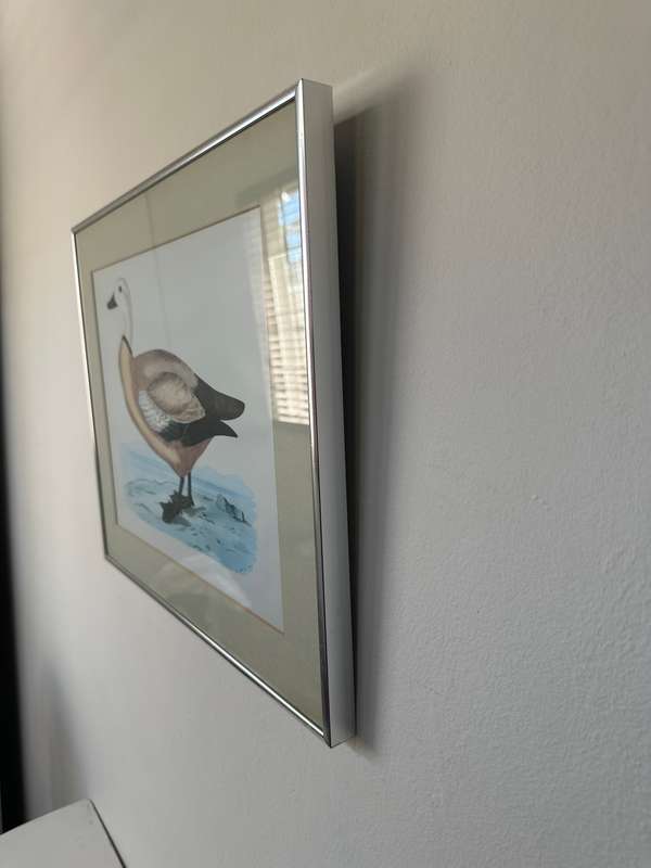 Framed Henri De La Blanchere Vintage Print, Wild Fowl - Finished Size 38.5cm x 46cm