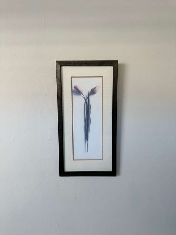 Framed Print, Tulips - Finished Size 26.5cm x 52.5cm