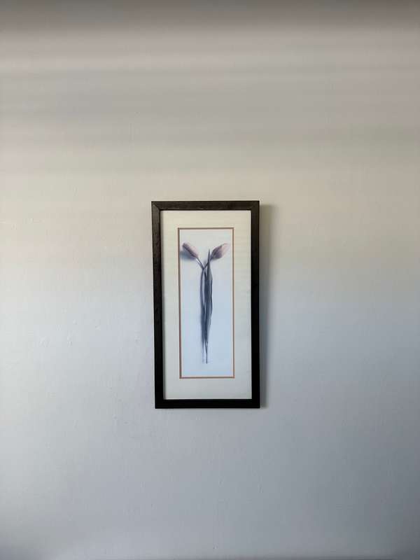 Framed Print, Tulips - Finished Size 26.5cm x 52.5cm