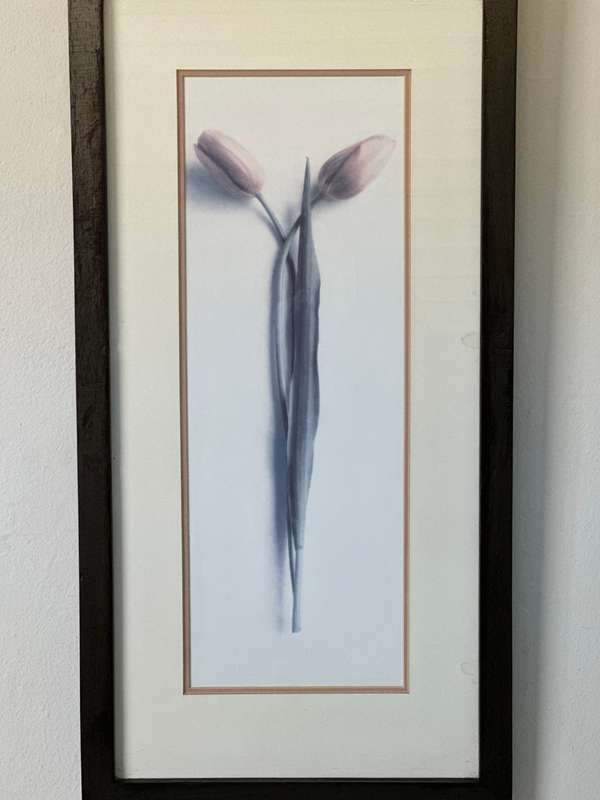 Framed Print, Tulips - Finished Size 26.5cm x 52.5cm