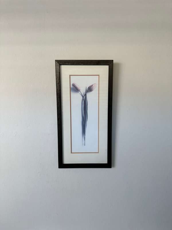 Framed Print, Tulips - Finished Size 26.5cm x 52.5cm